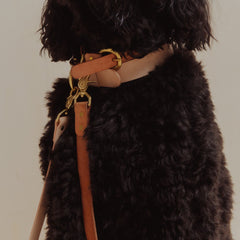 Pet Collar - Veg Tan