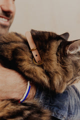 Pet Collar - Veg Tan