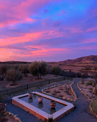 Ari's Winter Escape to Valle De Guadalupe, Mexico