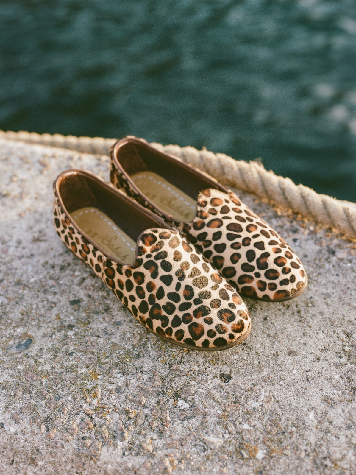 Akşam - Leopard (Mens)