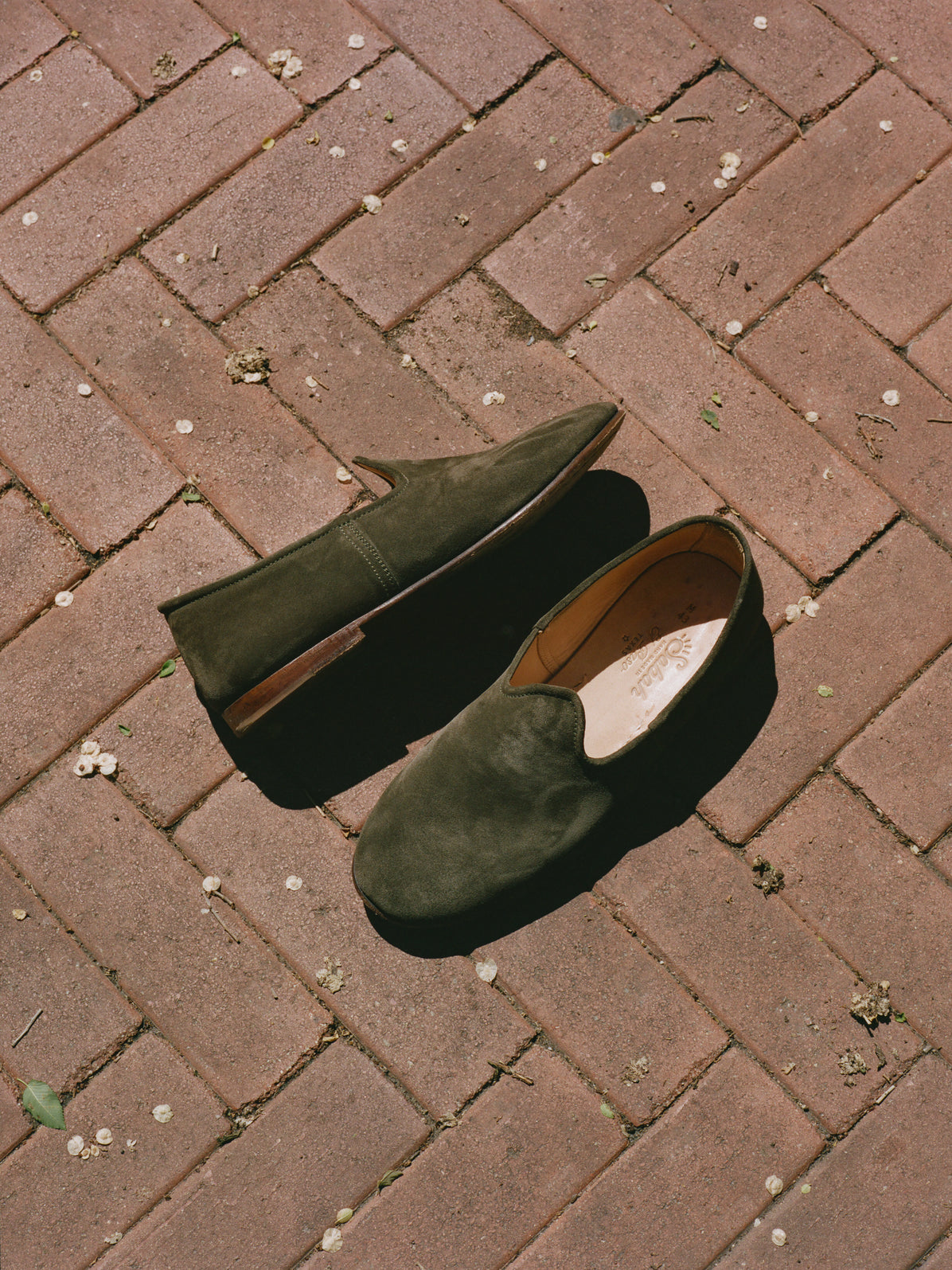 The Bolo - Lucca Suede (Womens)